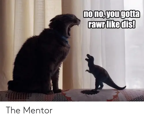 Mentor