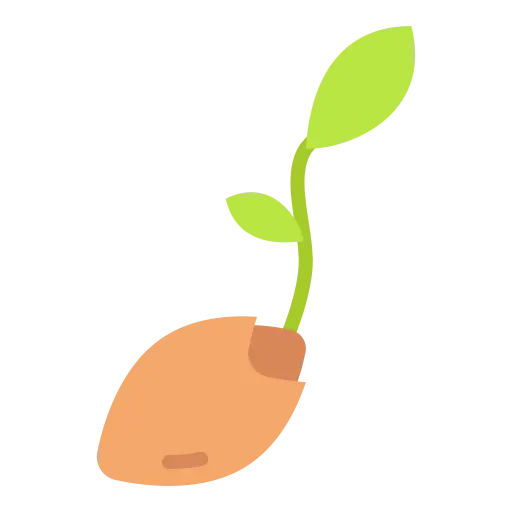 The Seed preview
